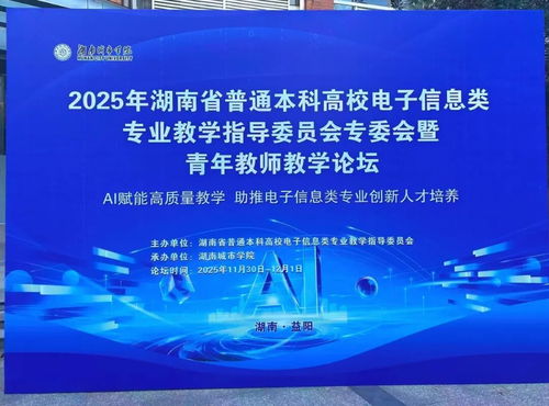 聚智同行，共促成長(zhǎng) 小眼睛科技受邀亮相2025湖南省電子信息學(xué)術(shù)年會(huì)